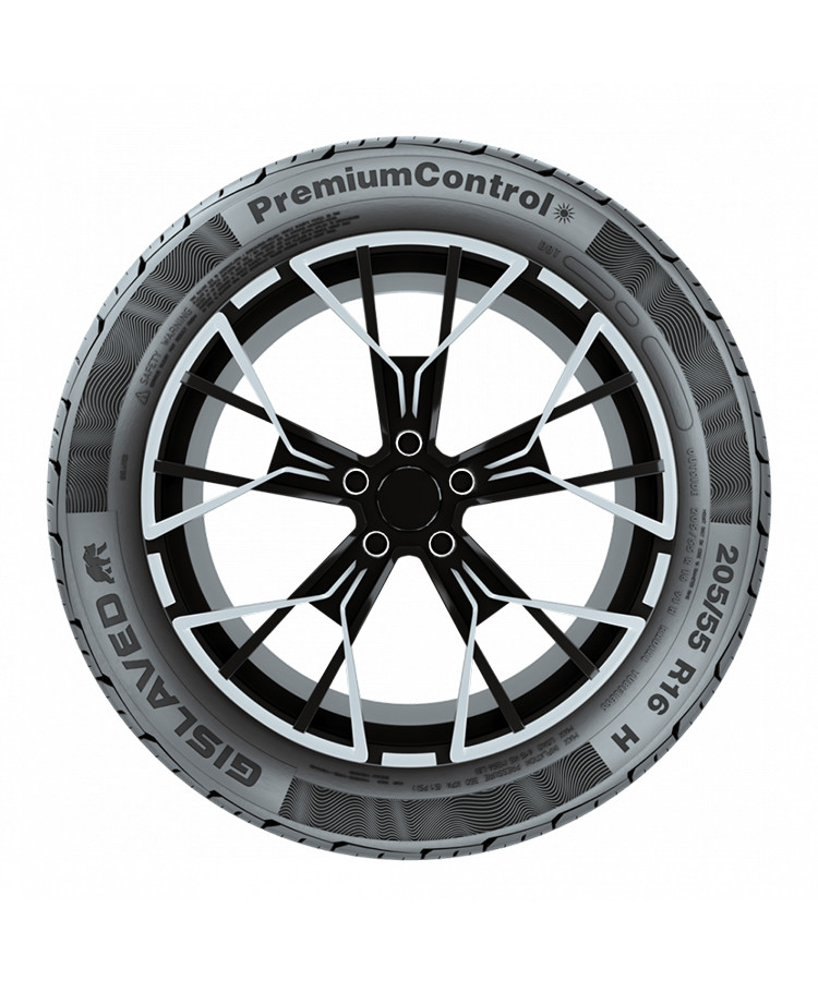 Gislaved PremiumControl 215/60 R16 95V купить в KOLOBOX