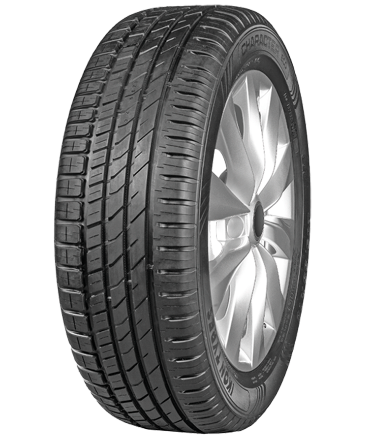 Ikon (Nokian Tyres) Character Eco (Nordman SX3) 205/60 R15 91H