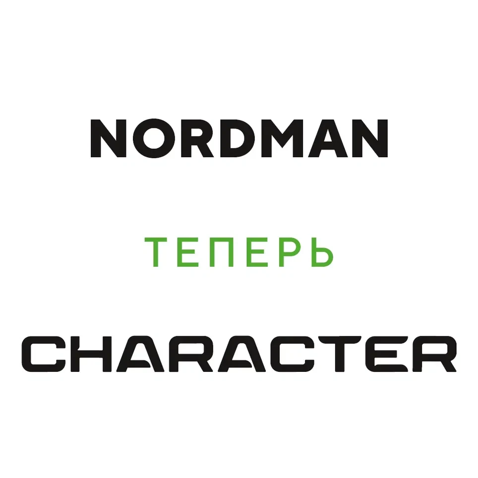 Ikon (Nokian Tyres) Ikon Character Snow 2 205/55 R17 95H (XL) заказать